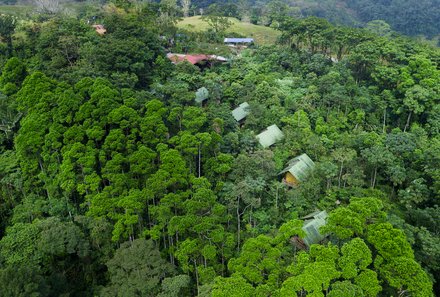 Familienurlaub Costa Rica - Costa Rica for family - La Tigra Rainforest Lodge - Baumhäuser im Regenwald von oben