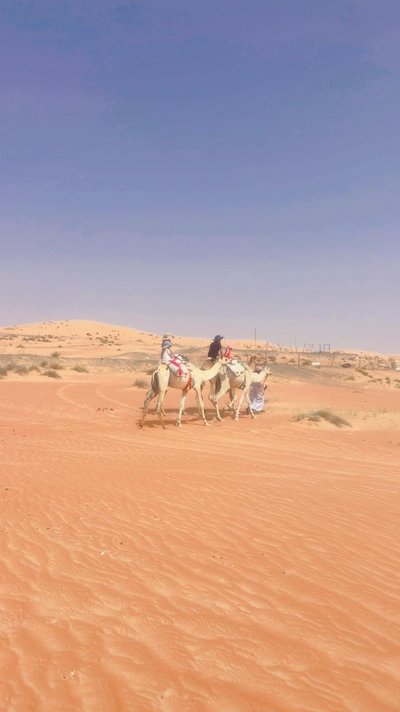 Oman for family individuell Deluxe - Bewertung - Wüste und Kamele Oman for family individuell Deluxe - Bewertung - Wüste und Kamele