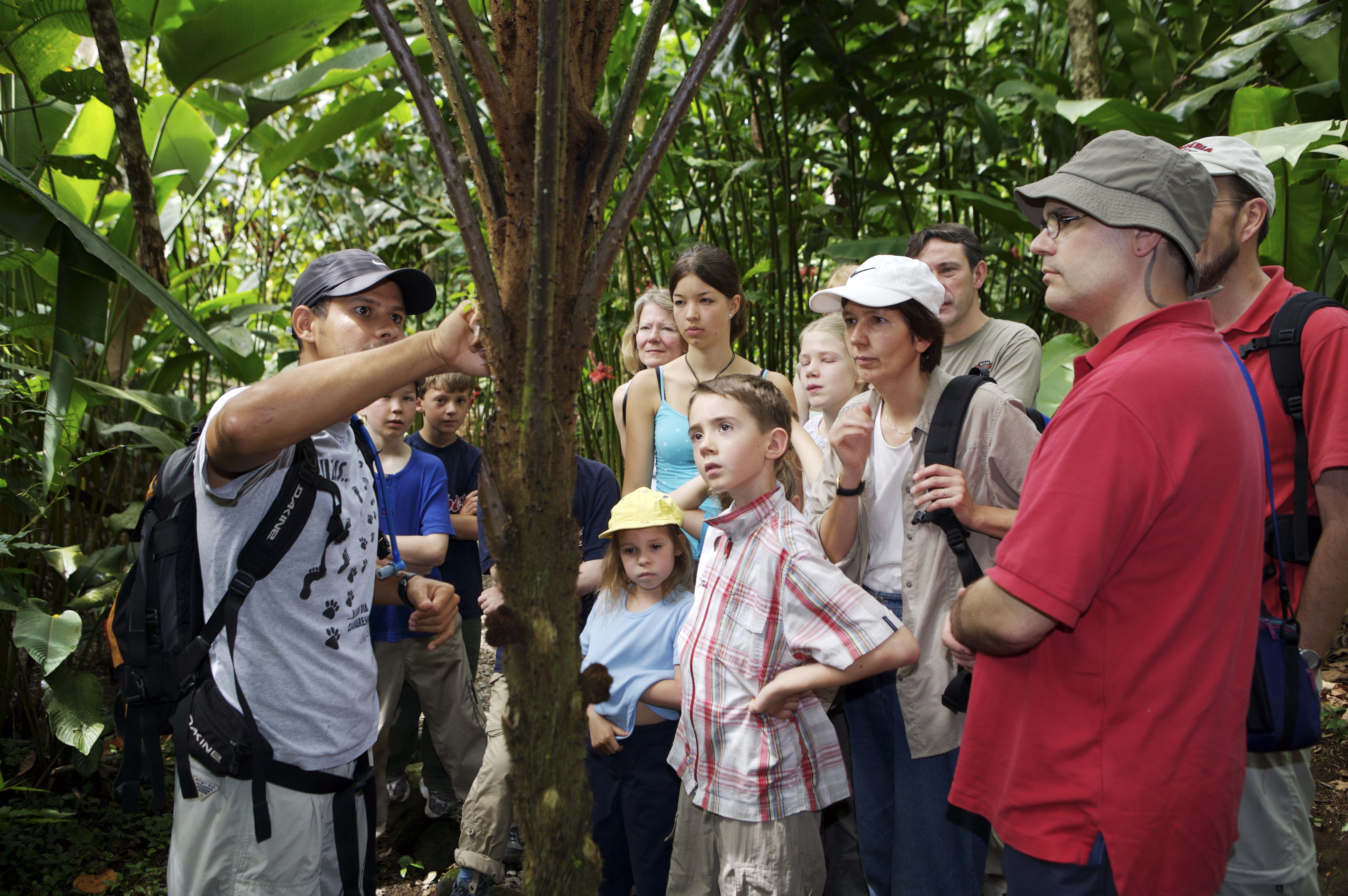 Fernreisen mit Kindern - Mit dem Reiseleiter in den Regenwald von Costa Rica