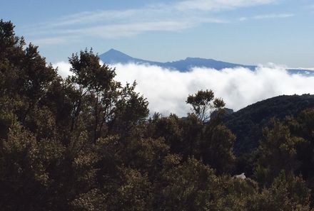 La Gomera Familienurlaub - Wald und Nebel