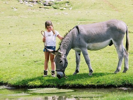 Südfrankreich mit Kindern - Europareisen mit Kindern - Eselwandern