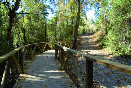 Andalusien for family - Familienreise Andalusien - Brücke bei Wanderung