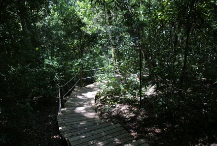 Garden Route mit Kindern individuell - Tsitsikamma Nationalpark Südafrika