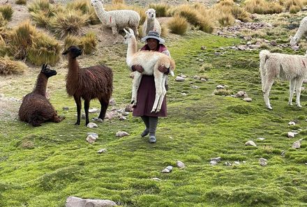 Peru Familienreise - Peru Teens on Tour - Colca Lodge - Lamas