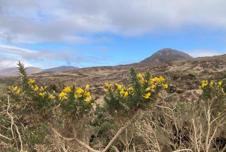 Irland Familienreise - Irland for family - Diamond Hill im Connamara Nationalpark - Bergaussicht