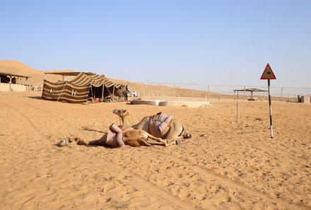 Familienurlaub Oman - Oman for family individuell - Thousand Nights Camp - Kamele