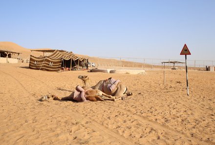 Oman mit Jugendlichen - Oman Family & Teens - Kamele in der Wüste