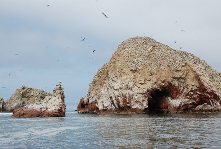 Familienreise Peru - Peru Teens on Tour - Ballestas Inseln - Felsen und Meer