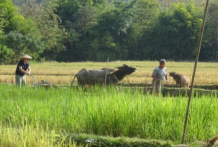 Laos und Vietnam Familienreise - Laos und Vietnam Reise mit Kindern - Living Land Farm Ausflug Laos