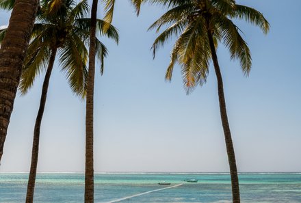 Tansania Familienurlaub - Tansania Family & Teens - Sansibar - Meerblick mit Palmen
