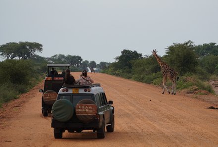 Uganda Familienurlaub - Uganda Family & Teens - Jeepfahrt im Nationalpark