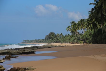 Sri Lanka young family individuell - Sri Lanka Individualreise mit Kindern - Palmen am Strand von Mirissa
