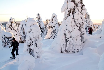 Schweden for family Winter - Schneeschuhwanderung - Schnee und Bäume