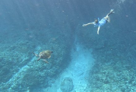 Bali Familienreise - Bali for family - Nusa Lembongan - Schnorcheln Unterwasser mit Schildkröte