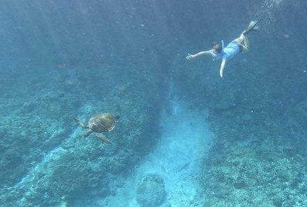 Familienreise Karibik- Karibik for family - Segelreise - Kind schnorchelt mit Schildkröte