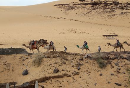 Familienreise Ägypten - Ägypten for family - Kamelwanderung zum nubischen Dorf