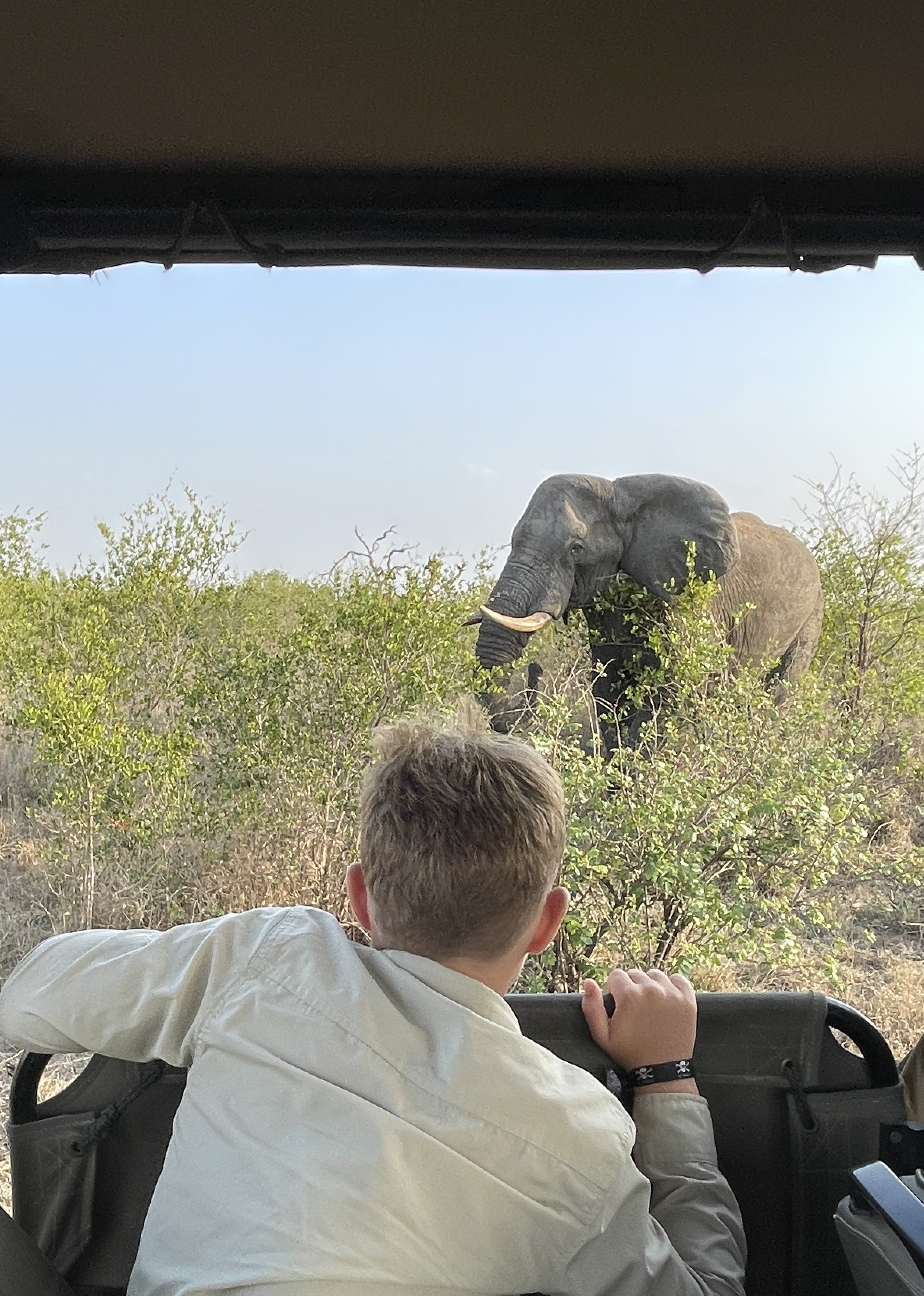 Südafrika mit Kindern - Südafrika Reise mit Kindern - Kind auf Safari im Krüger Nationalpark