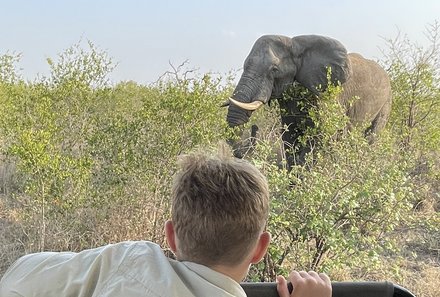 Safari Afrika mit Kindern - Safari Urlaub mit Kindern - beste Safari-Gebiete - Krüger Nationalpark - Kind beobachtet Elefanten