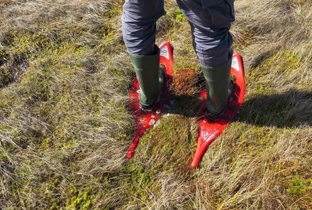 Familienreise Estland - Estland for family - Moorschuhe