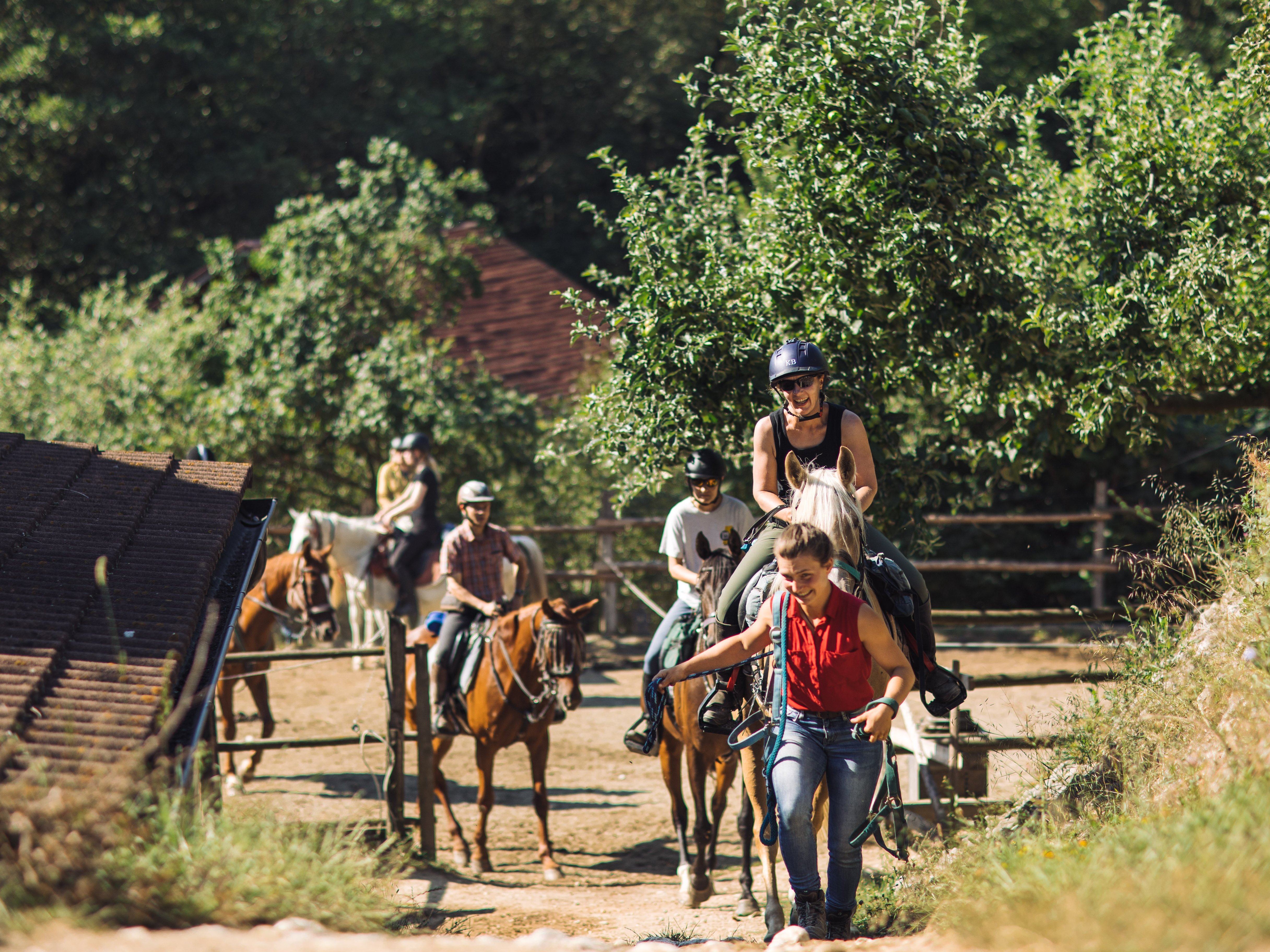 Neue Familienreisen 2026 - Rumänien Family & Teens - Reiten