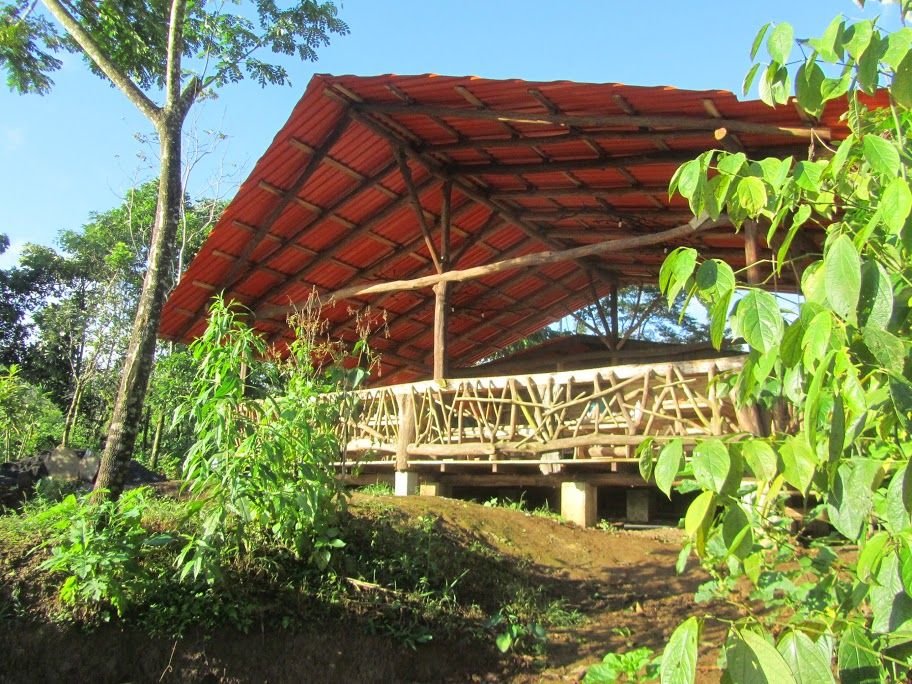 Costa Rica mit Kindern - La Tigra Rainforest Lodge
