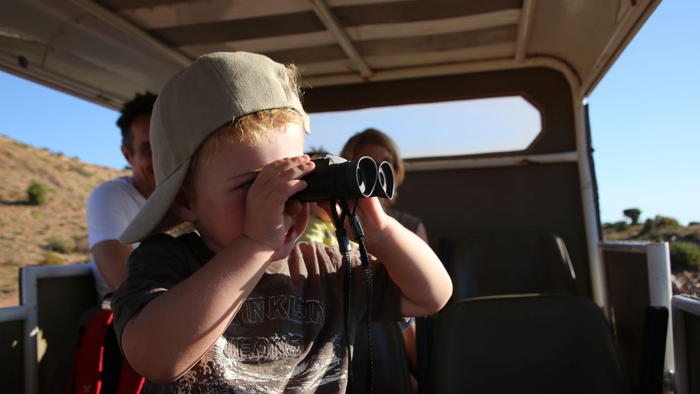 Safaris mit Kleinkind - Tierbeobachtungen auf der Buffelsdrift Game Lodge
