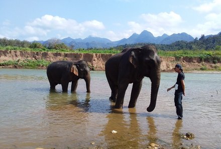 Laos und Vietnam Familienreise - Laos und Vietnam Reise mit Kindern - Guide mit Elefanten