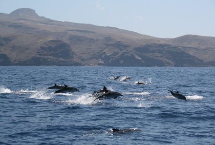 La Gomera Familienurlaub - Bootstour La Gomera