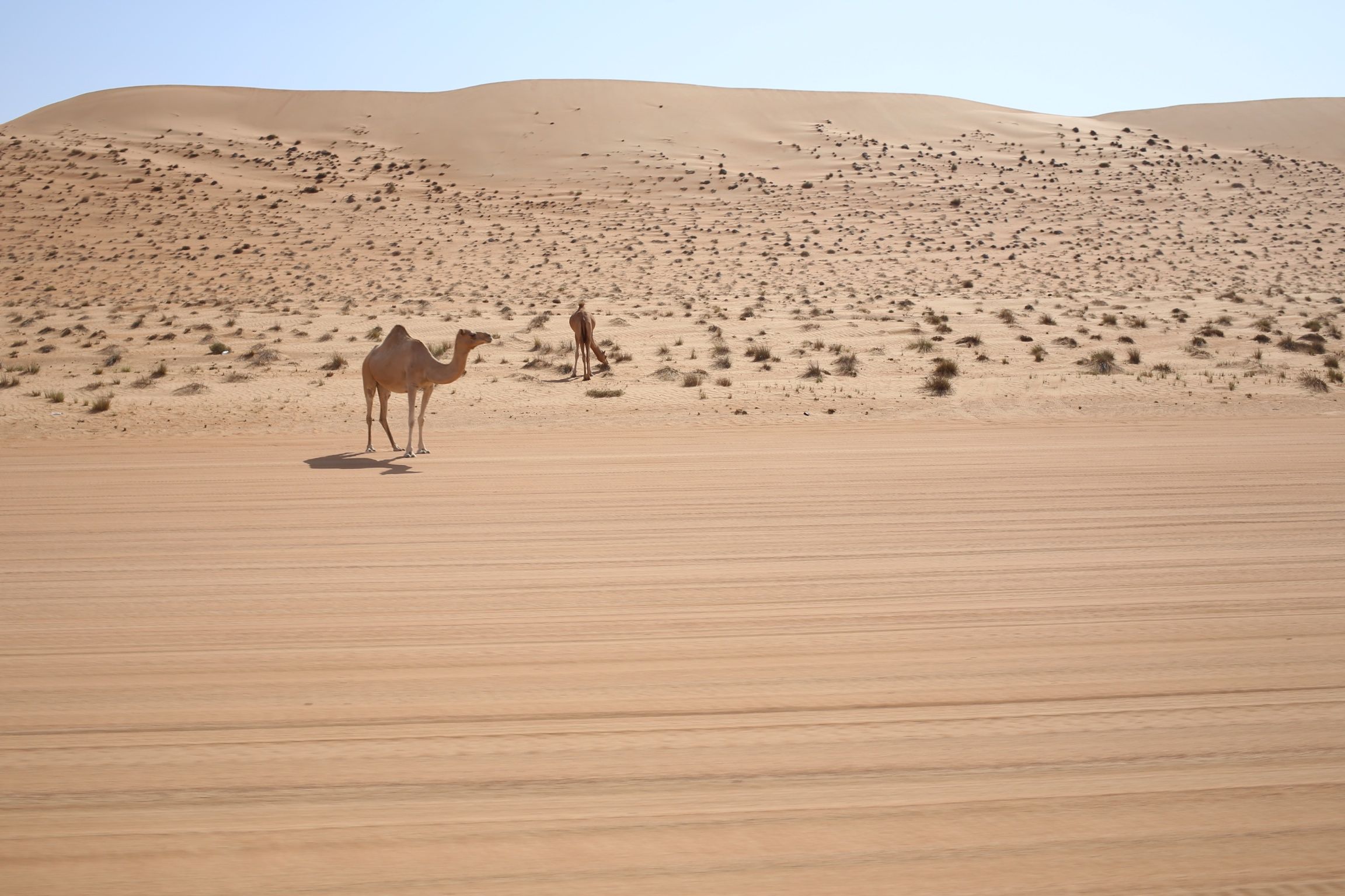 Oman mit Kindern - Wahib Wüste