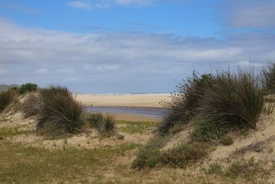 Garden Route mit Kindern - Familienreise Südafrika - St. Francis Bay Dünen