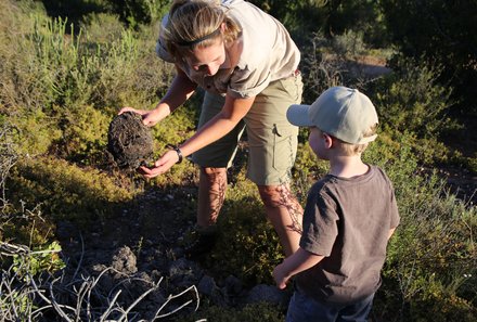 Garden Route mit Kindern individuell - Oudtshoorn - Buffelsdrift Game Lodge - Guide erklärt