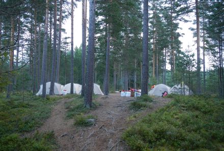 Familienreise Schweden - Schweden for family - Zeltcamp im Wald