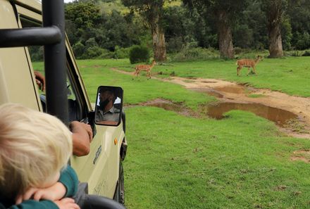 Garden Route mit Kindern - Mit Kids auf Safari im Addo