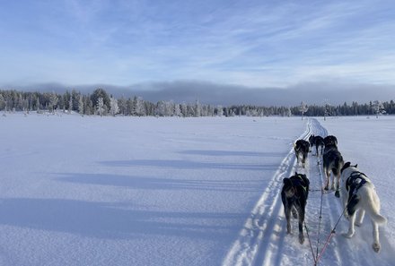 Schweden for family Winter - Hundeschlittentour - Schlittenwege mit Hunden