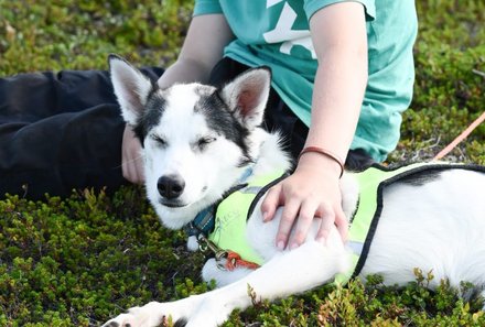 Schweden for family - Husky Farm - Junge mit Husky