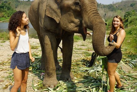 Laos und Vietnam Familienreise - Laos und Vietnam Reise mit Kindern - Spaziergang mit Elefanten