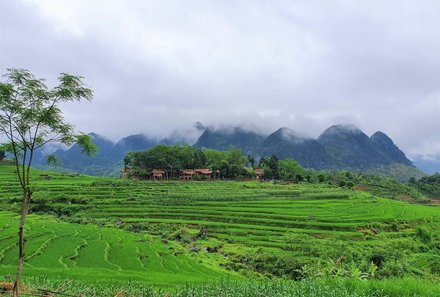 Laos und Vietnam Familienreise - Laos und Vietnam Reise mit Kindern - Pu Luong Reisfelder