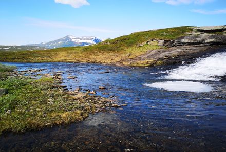 Schweden Familienreise - Schweden for family - Polarkreis - Natur