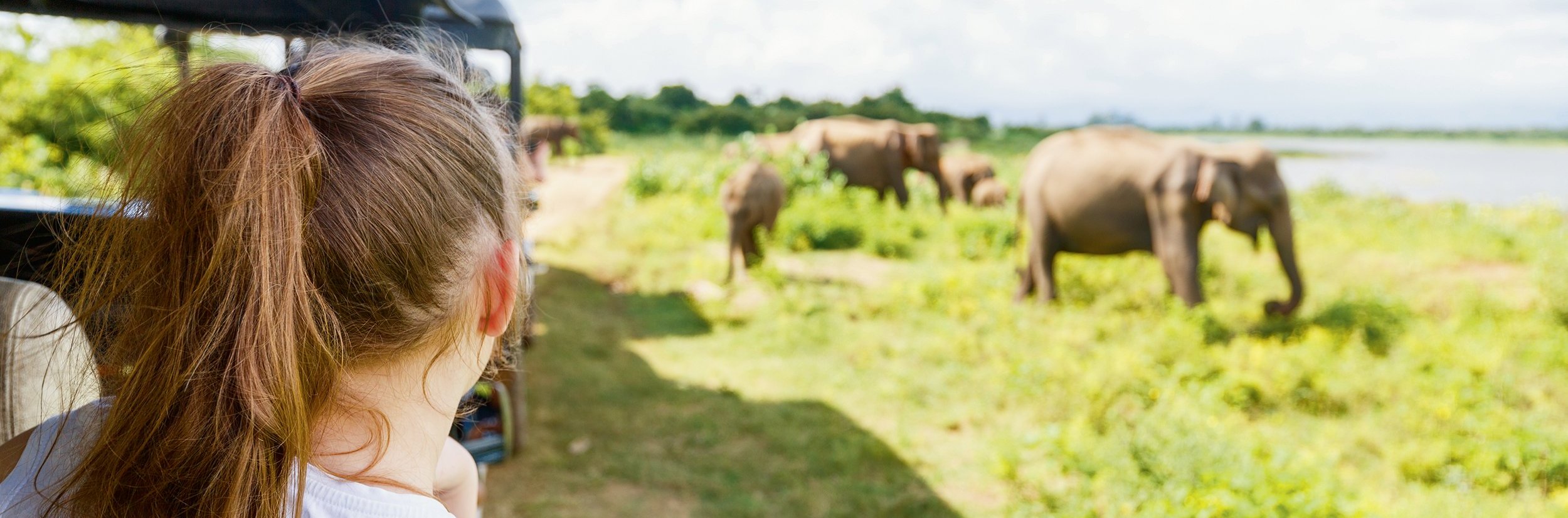 Sri Lanka Safari mit Kindern - Nationalparks in Sri Lanka mit Kindern - Kind beobachtet Elefanten