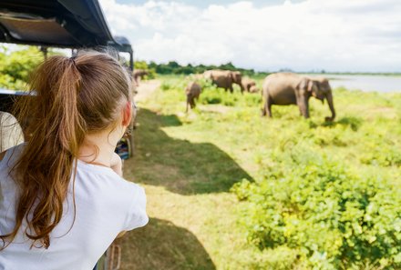 Sri Lanka young family individuell - Sri Lanka Individualreise mit Kindern - Pirschfahrt zu Elefanten im Udawalawe Nationalpark