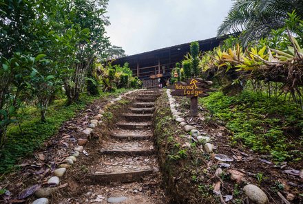 Familienreise Galapagos und Ecuador - Galapagos Family & Teens - Hakuna Matata Amazon Lodge - Weg zur Lodge