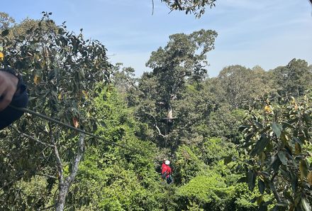 Vietnam & Kambodscha Familienreisen - Kambodscha - Mann auf Zipline - Angkor