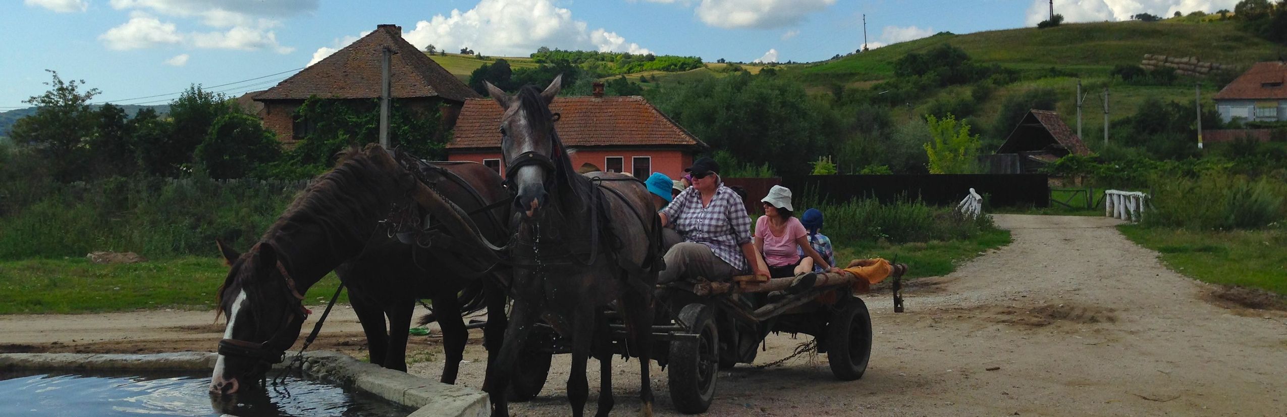 Familienreise Rumänien - Pferdekutsche