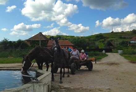 Rumänien Familienreise - Rumänien for family - Pferdewagen