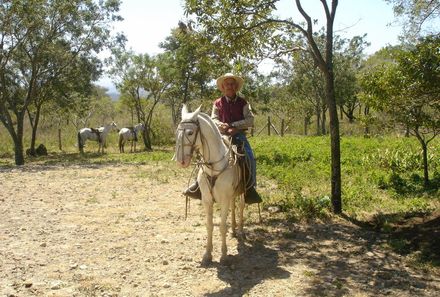 Costa Rica mit Jugendlichen - Costa Rica Family & Teens - Pferd mit Reiter