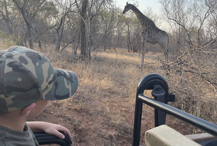 Südafrika for family - Südafrika Familienreise - Safari zu Giraffen