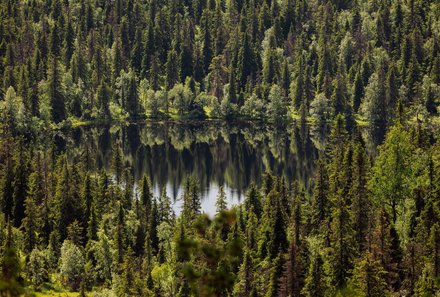 Finnland Familienreise - Finnland Family Summer & Teens - Landschaft in Finnland