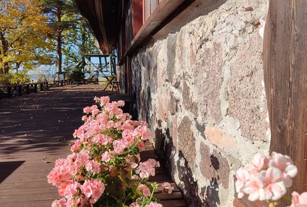 Estland for family - Familienreise Estland -  Tuulingu Gasthaus - Pinke Blumen