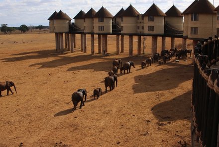 Kenia Familienreise - Kenia for family - Taita Hills - Salt Lick Safari Lodge