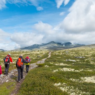 Norwegen Familienreise - Wanderung